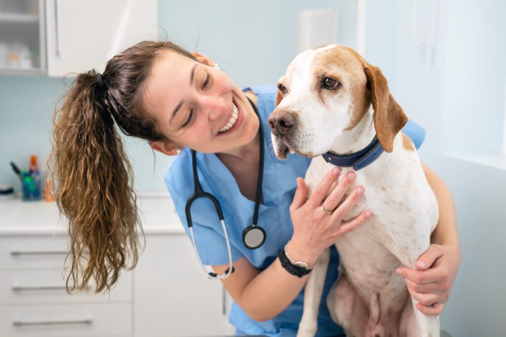 Woman nurse vet holding dog